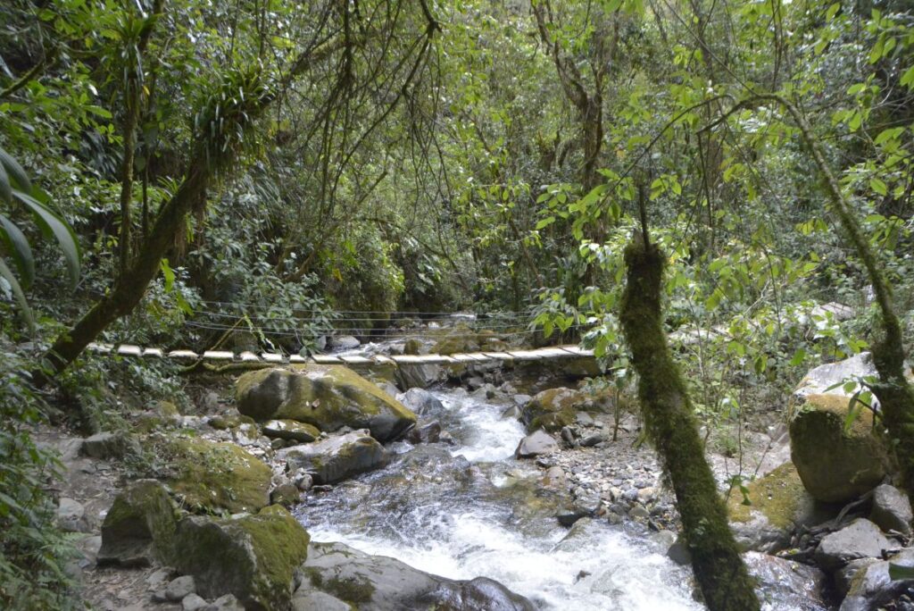Hiking Cocora Valley from Salento.