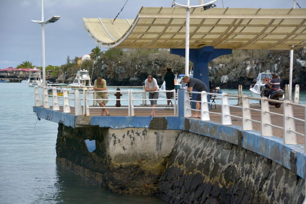 Complete Travel Guide to Galapagos for solo travelers.