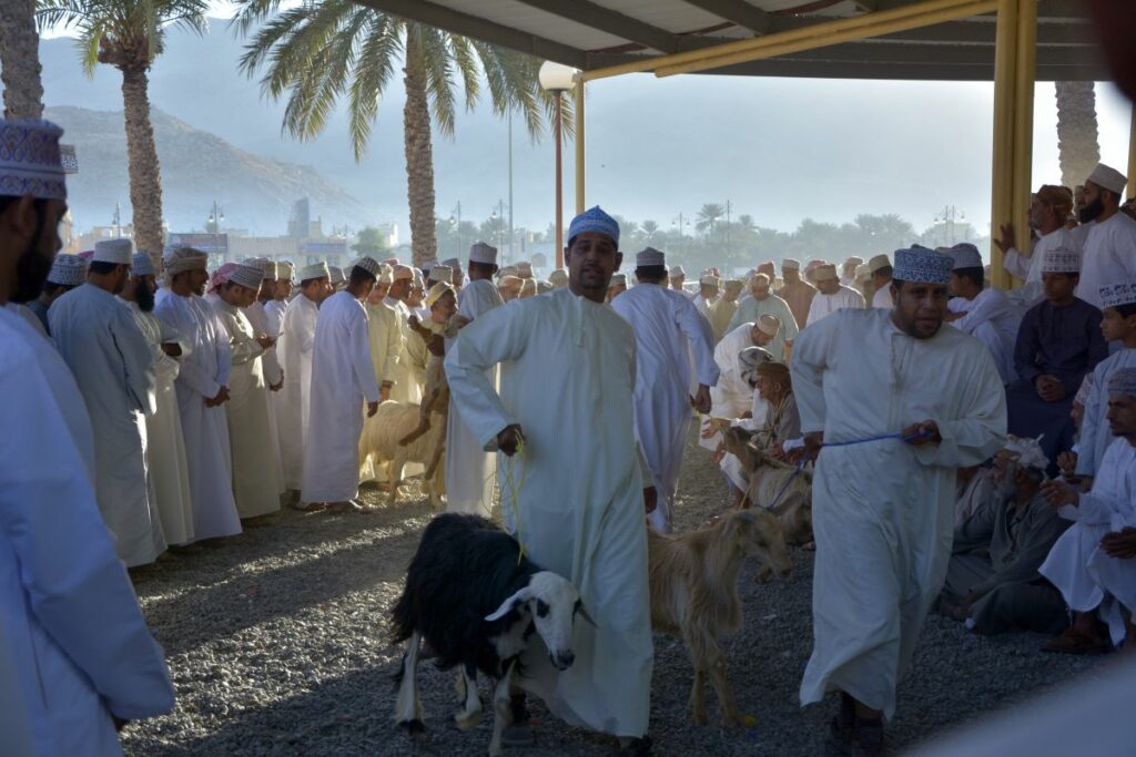How to get to Nizwa from Muscat to visit Nizwa Goat Market unique culture event in Oman.