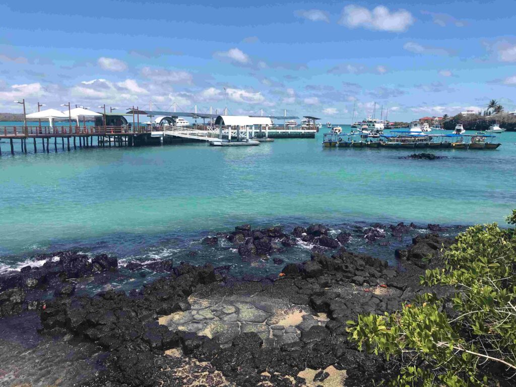 Complete travel guide to Galapagos Islands for solo traveleres.