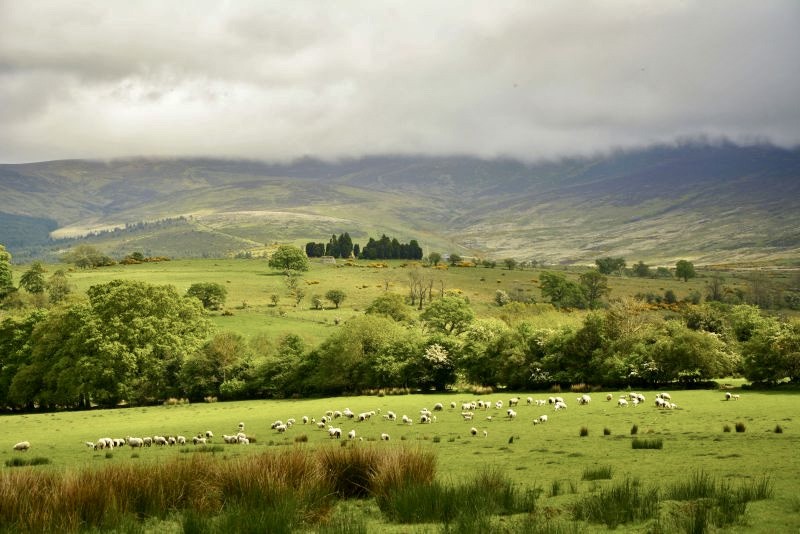 wicklow in ireland
