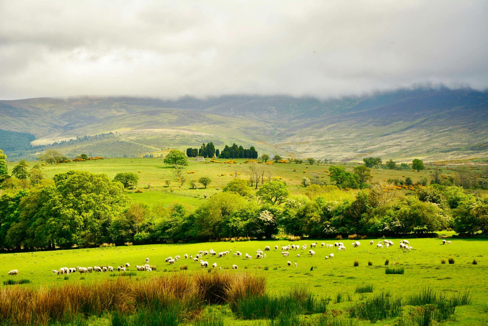 The coolest things to do in Dublin - Freestyletraveling.com