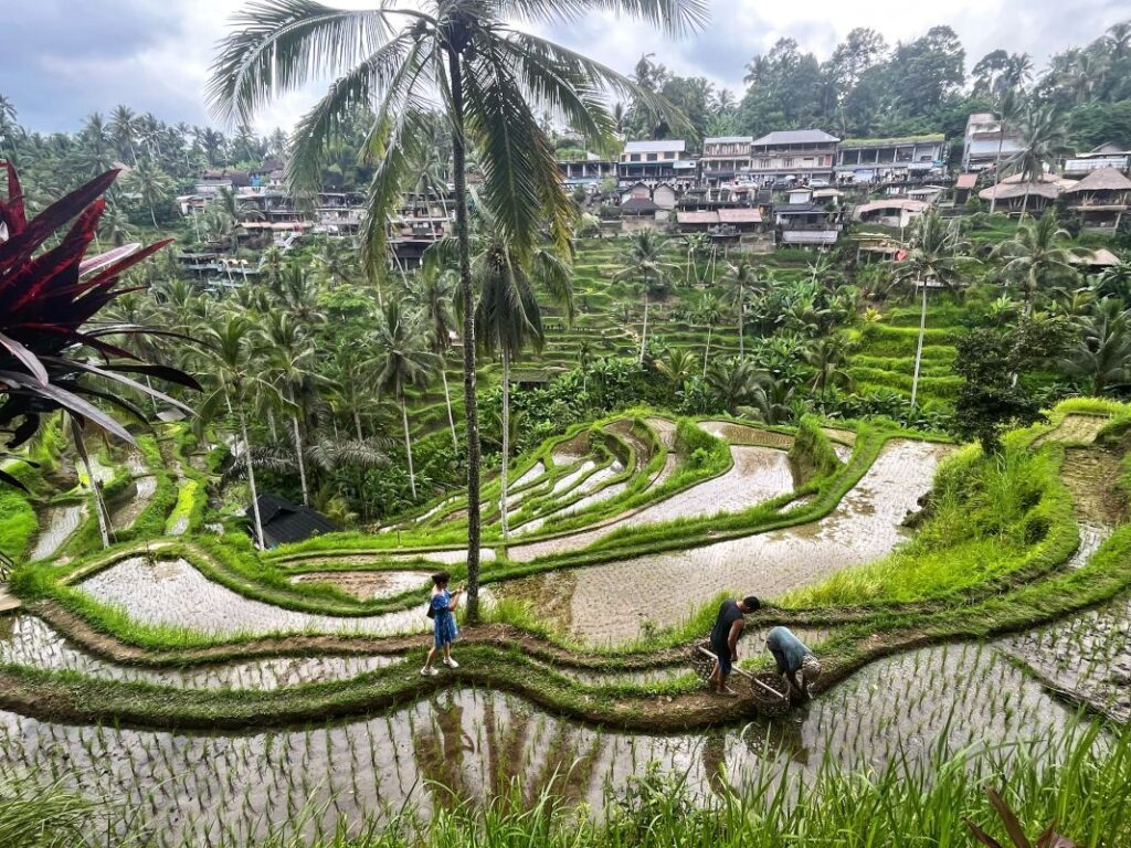 10 incredible places to see in Bali Island.