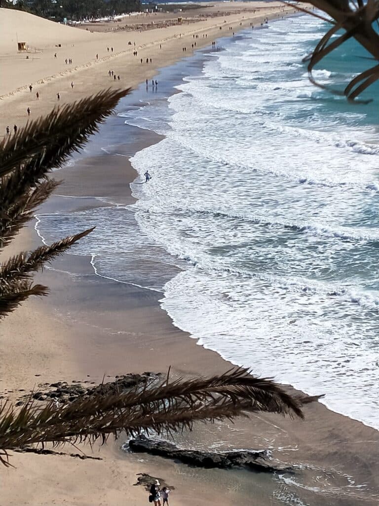 Fuerteventura Morro Jable - Things to do in Morro Jable the best place to stay in Fuerteventura.