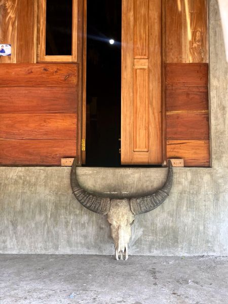 Sumba travel guide – top 12 unique things to see in forgotten Indonesian paradise island.