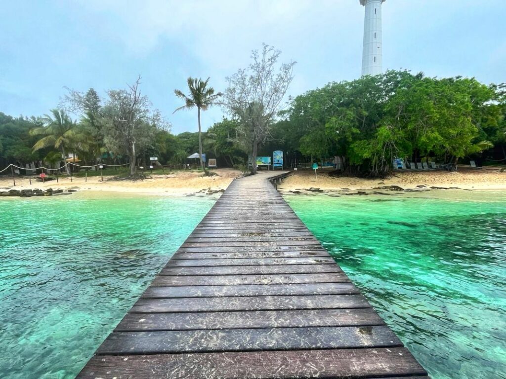 Escape to tropical paradise of New Caledonia – What to do in Amedee Island, the snake island.