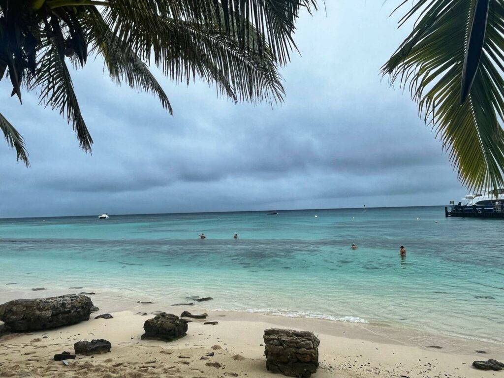 Fantastic snorkeling in New Caledonia Barrier Reef.
