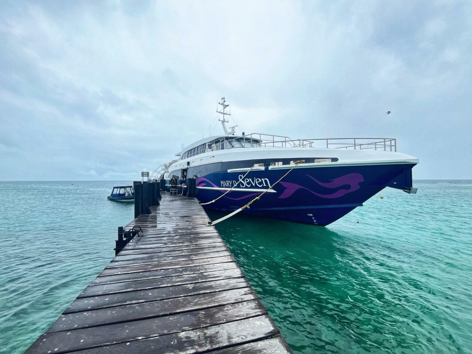 Escape to tropical paradise of New Caledonia – What to do in Amedee Island, the snake island.