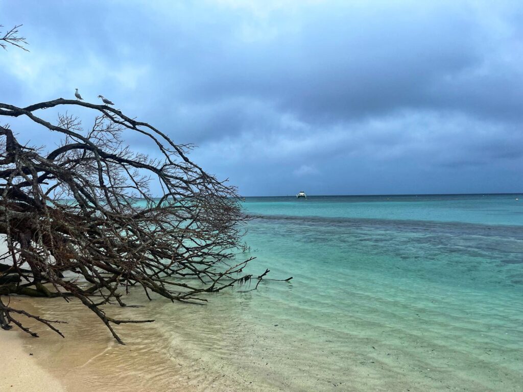 Best things to do in New Caledonia - Amedee Island