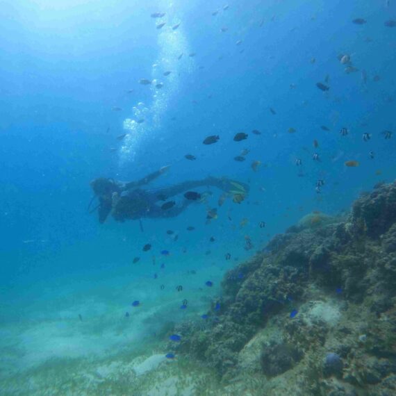Pacific Islands travel advice & tips.