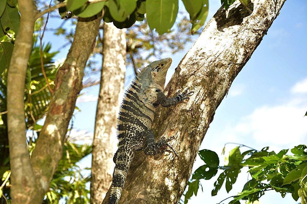 Adventurous itinerary for Costa Rica.