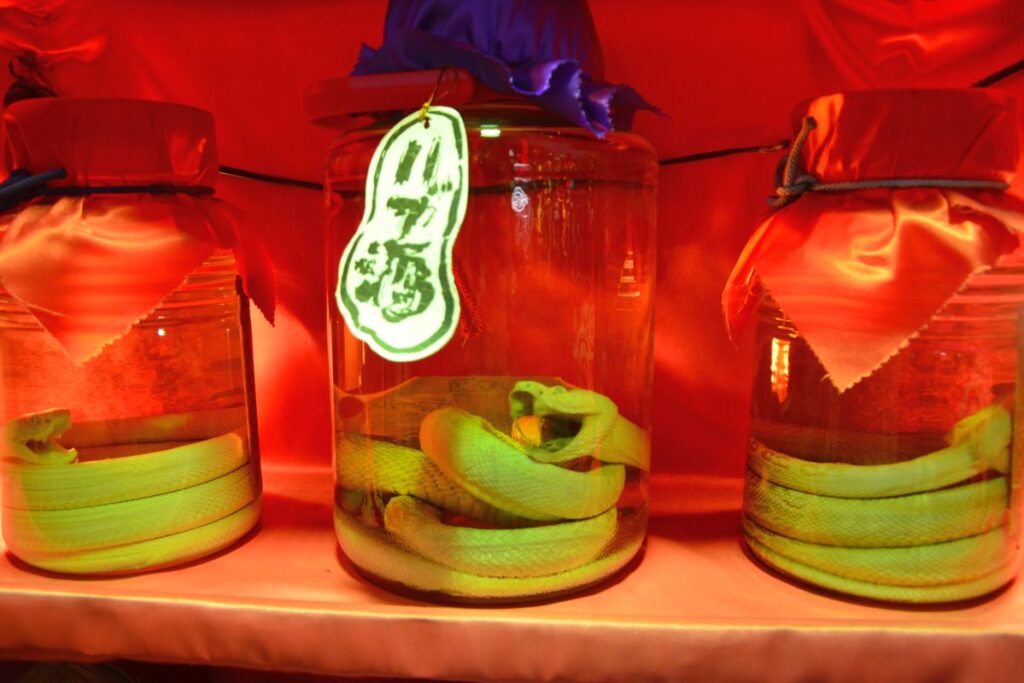 Snake sake in Okinawa.